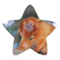 Golden Lion Tamarin Stickers