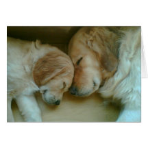 Golden Love Greeting Card
