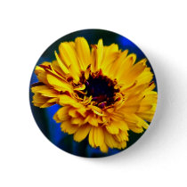 Golden Marigold and meaning Button