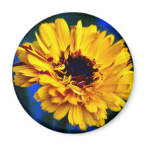 Golden Marigold and meaning Fridge Magnet