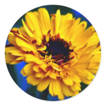 Golden Marigold and meaning Sticker