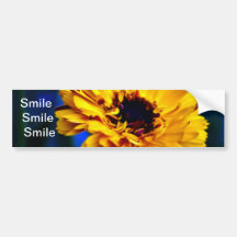 Golden Marigold flower and meaning Bumper Stickers