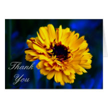 Golden Marigold flower and meaning Card