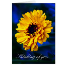 Golden Marigold flower and meaning Cards