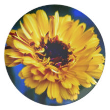 Golden Marigold flower and meaning Dinner Plates