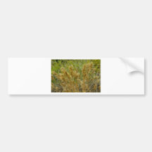 Golden Morning Bumper Sticker
