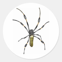 Golden Orb Spider Round Stickers