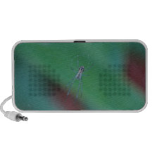 Golden Orb Spider Travelling Speaker