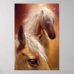 Golden Palomino Art Poster/Print