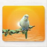 Golden Parakeet Mousepads