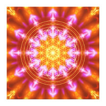 golden pink mandala with flower of life galerie gefaltete leinwand