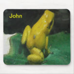 Golden Poison Dart Frog/Phyllobates terribilis Mousepads