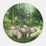 Golden Puppies Magnet