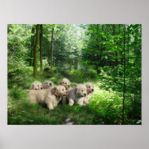 Golden Puppies Poster