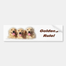 golden_pups5_bumpersticker bumper sticker