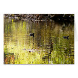 Golden Reflection Card