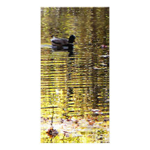 Golden Reflection Custom Photo Card