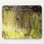 Golden Reflection Mousepads