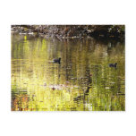 Golden Reflection Postcard