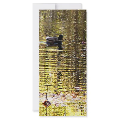 Golden Reflection Rack Cards by SusanSavad