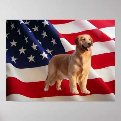 Golden Retriever All American Print by normagolden