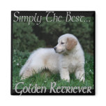 Golden Retriever Art Gifts Fridge Magnets