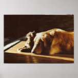 Golden Retriever Best Buddies Poster