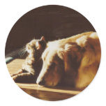 Golden Retriever Best Buddies Sticker