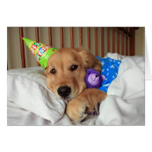 Golden Retriever Birthday Card