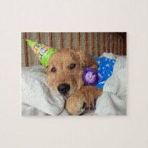 Golden Retriever Birthday Jigsaw Puzzle