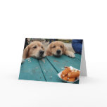 Golden Retriever Birthday Wishes Greeting Cards