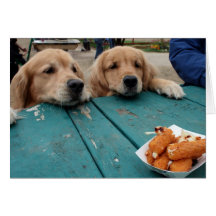 Golden Retriever Birthday Wishes Greeting Cards