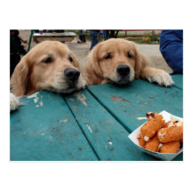 Golden Retriever Birthday Wishes Postcard