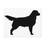Golden Retriever (black)