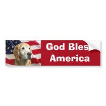 Golden Retriever Bumper Sticker