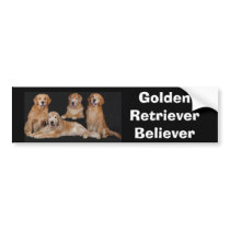 Golden Retriever Bumper Sticker