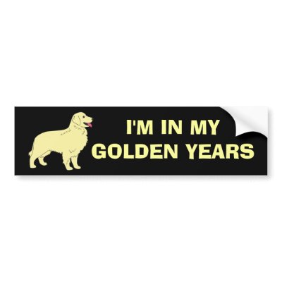 Golden Retriever Bumper Sticker by normagolden
