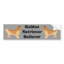Golden Retriever Bumper Sticker Danny Boy