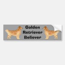 Golden Retriever Bumper Sticker Danny Boy