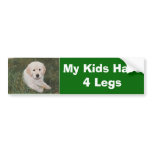 Golden Retriever Bumper Sticker My Kids Have 4Legs