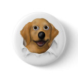 Golden Retriever Busting Out Buttons