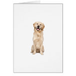 Golden Retriever Card
