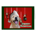 Golden Retriever Christmas Cards Gifts
