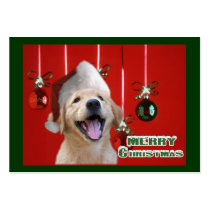 Golden Retriever Christmas Cards Gifts Business Card Templates