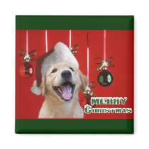Golden Retriever Christmas Cards Gifts Magnet