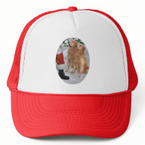 Golden Retriever Christmas Gifts Mesh Hat