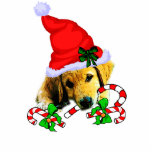 Golden Retriever Christmas Gifts Ornament photo sculptures
