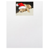 Golden Retriever Christmas
