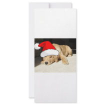 Golden Retriever Christmas