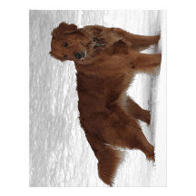 Golden Retriever Custom Letterhead